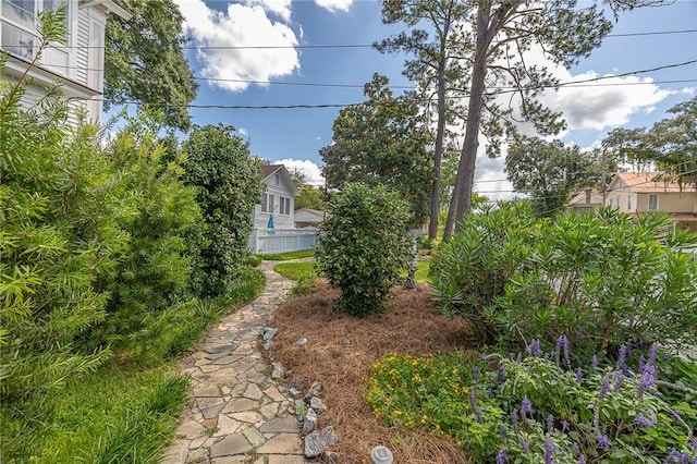 1000 Union St, Brunswick, GA 31520 - view of yard
