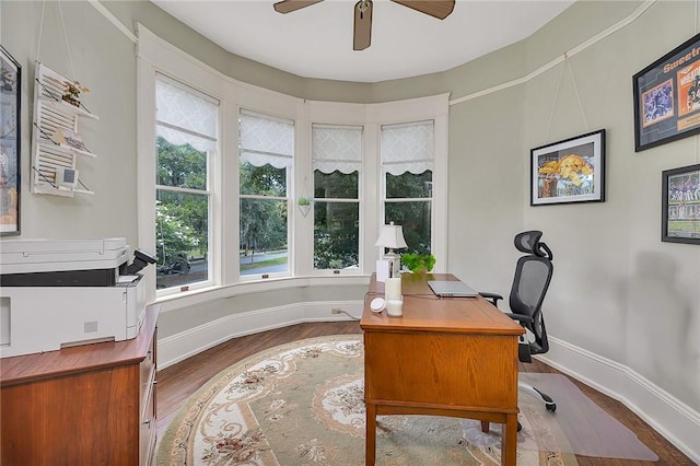1000 Union St, Brunswick, GA 31520 - office with healthy amount of natural light, ceiling fan, and wood finished floors