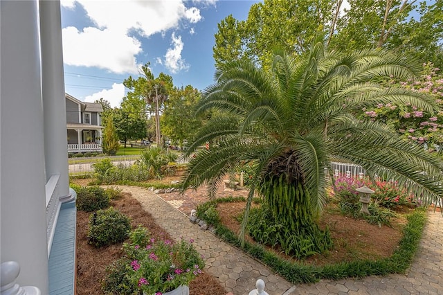 1000 Union St, Brunswick, GA 31520 - view of yard