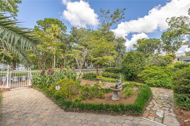 1000 Union St, Brunswick, GA 31520 - view of yard