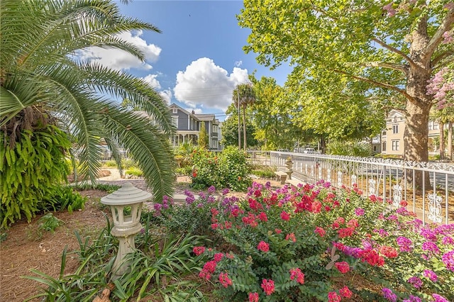 1000 Union St, Brunswick, GA 31520 - view of yard
