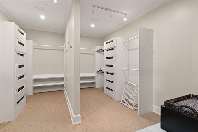 spacious closet with light colored carpet