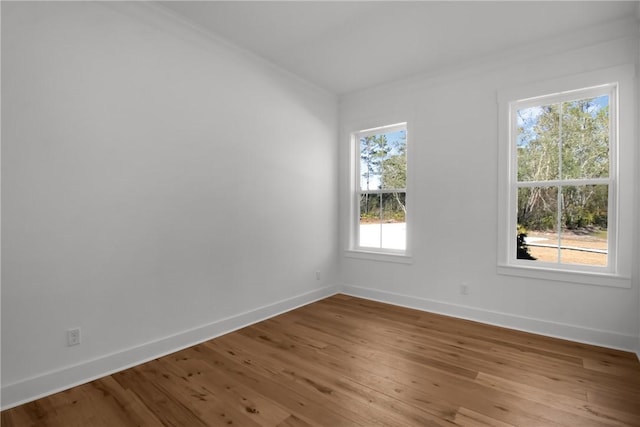 spare room featuring light hardwood / wood-style floors, a wealth of natural light, and ornamental molding