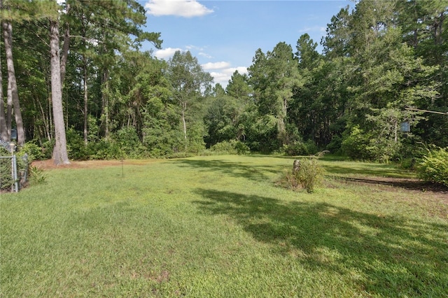 605 Old Red Bluff Rd, White Oak, GA 31568 - photo 55