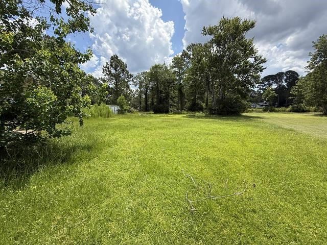 1157 Redfish Dr SE, Darien, GA 31305 - photo 5