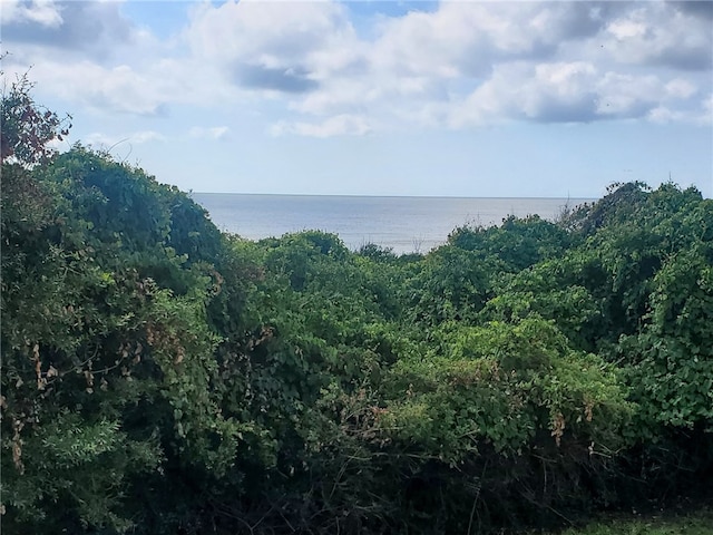 1175 N Beachview Dr Unit 382, Jekyll Island, GA 31527 - property view of water