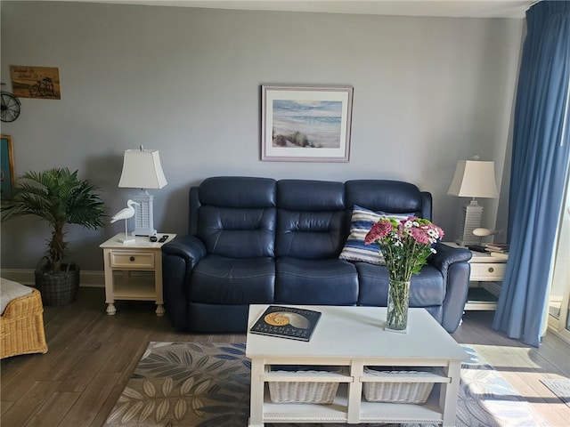 living room featuring hardwood / wood-style floors