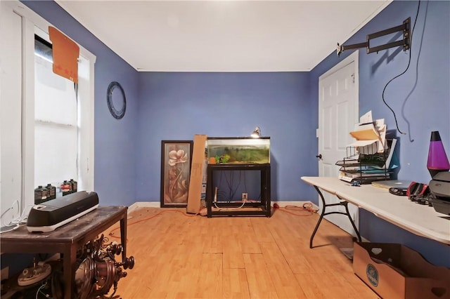 office with a fireplace and light hardwood / wood-style flooring