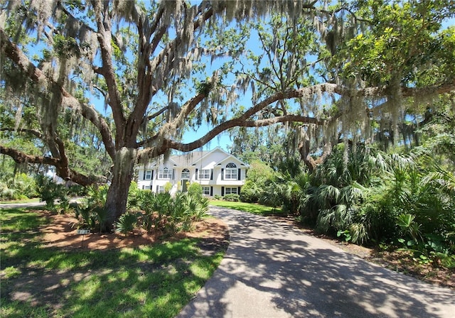 412 Palm Dr, Saint Simons Island, GA 31522 - view of front facade featuring driveway