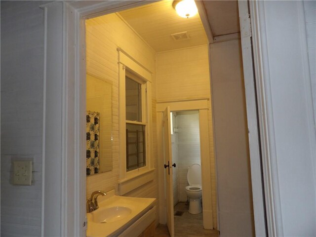 spacious closet with vaulted ceiling