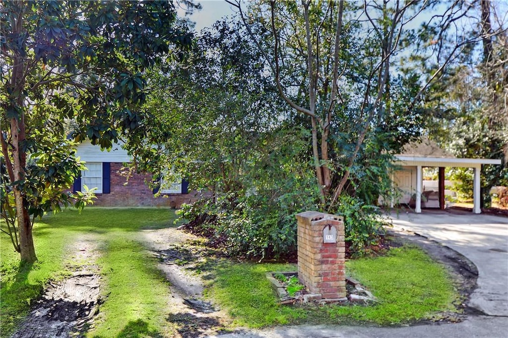 view of property hidden behind natural elements featuring a carport and a front lawn