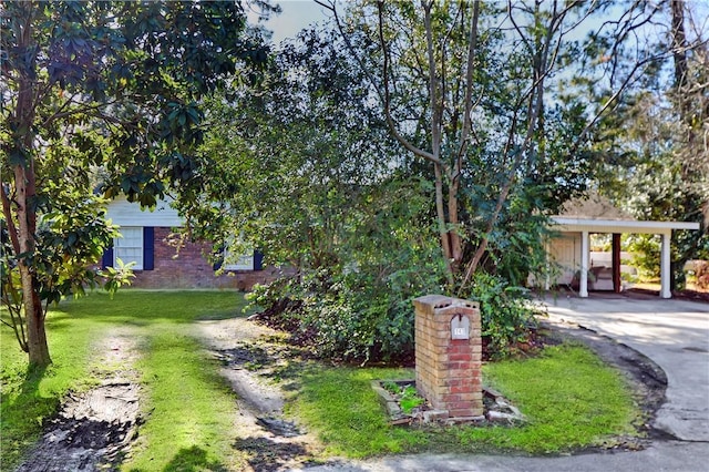 view of property hidden behind natural elements featuring a carport and a front lawn