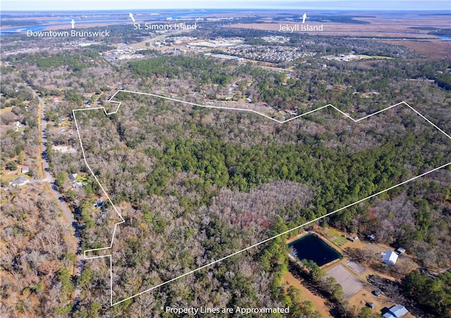 0 Baumgardner Rd, Brunswick GA, 31523 land for sale