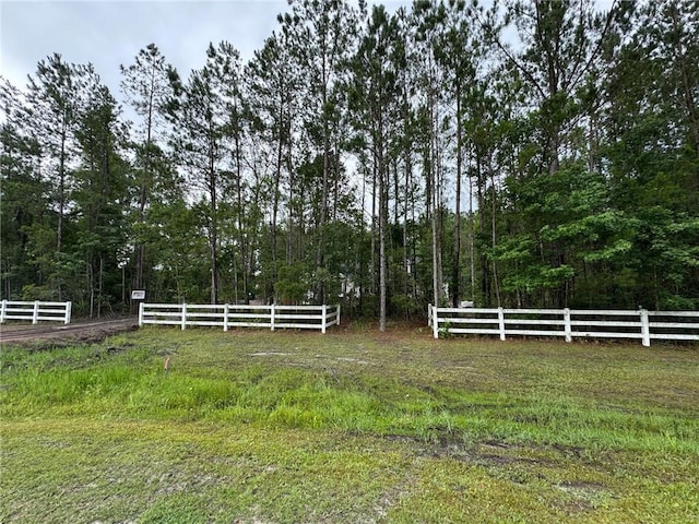 701 Broadwood Dr, Woodbine, GA 31569 - view of yard