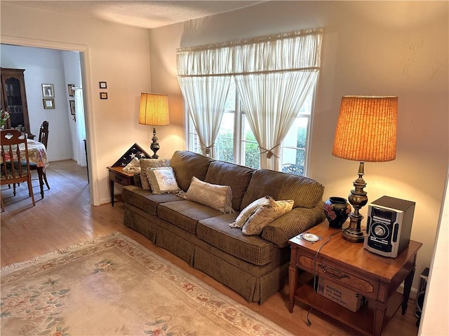 living room featuring wood-type flooring