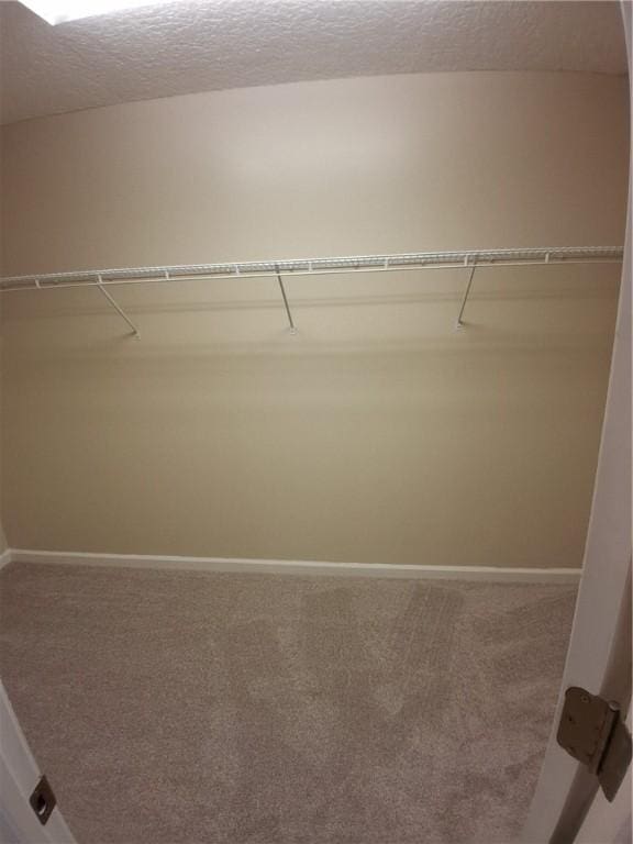 43 Shadowlake Ct, Brunswick, GA 31525 - walk in closet featuring carpet floors