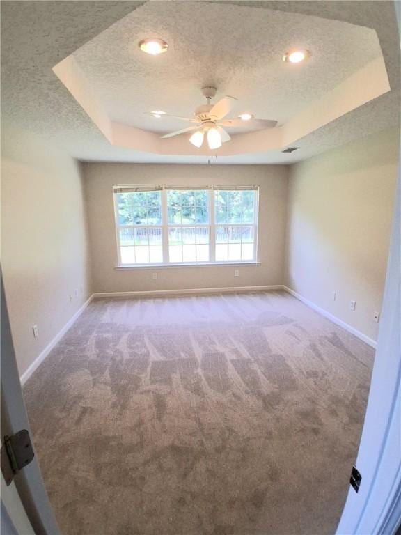43 Shadowlake Ct, Brunswick, GA 31525 - spare room with a raised ceiling, carpet floors, ceiling fan, plenty of natural light, and a textured ceiling
