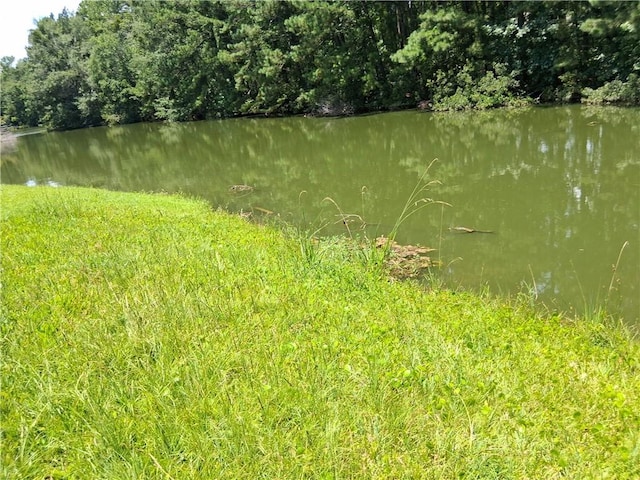 43 Shadowlake Ct, Brunswick, GA 31525 - water view