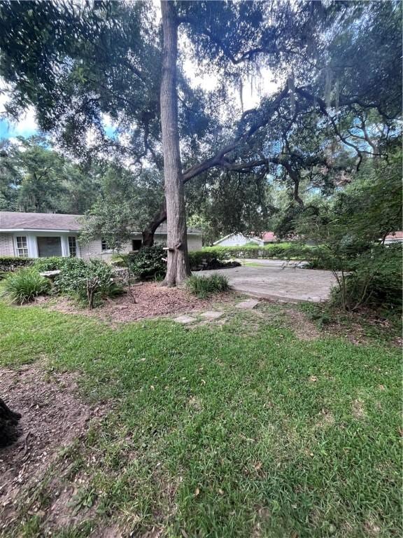 119 Saint Clair Dr, Saint Simons Island, GA 31522 - view of yard
