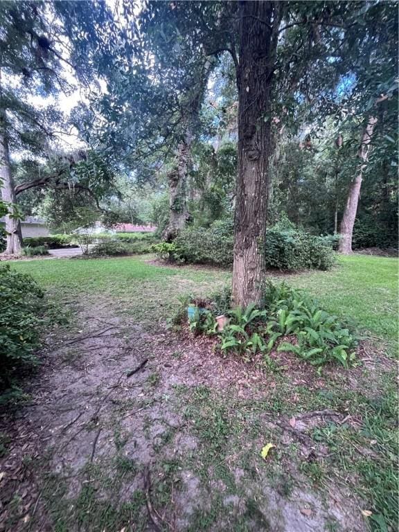 119 Saint Clair Dr, Saint Simons Island, GA 31522 - view of green lawn
