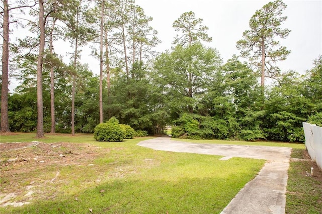 1701 Satilla Blvd, Waycross, GA 31501 - view of grassy yard