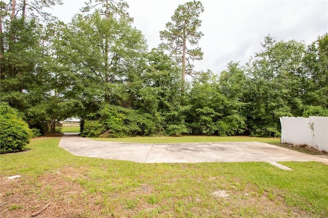 1701 Satilla Blvd, Waycross, GA 31501 - view of yard