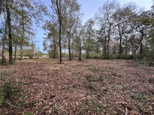 597 Salt Creek Way E, Brunswick GA, 31523 land for sale