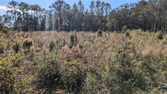 767 Scranton Rd, Brunswick, GA 31525 - photo 2