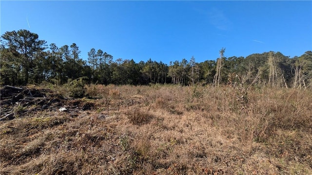 767 Scranton Rd, Brunswick, GA 31525 - photo 3