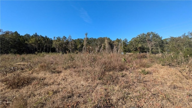 767 Scranton Rd, Brunswick, GA 31525 - photo 4