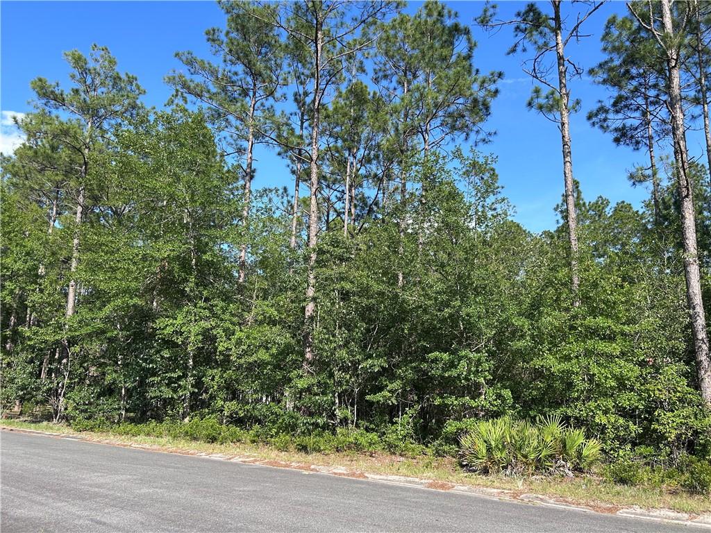 0 S City Blvd, Waycross, GA 31501
