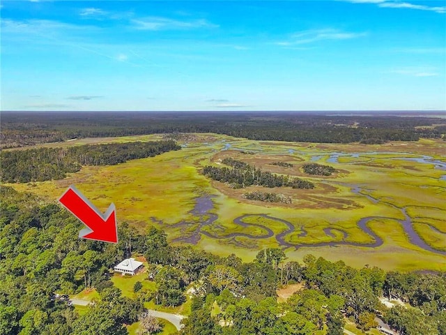 1261 Otter Slide Loop, Townsend, GA 31331 - aerial view of property and surrounding area with a forest