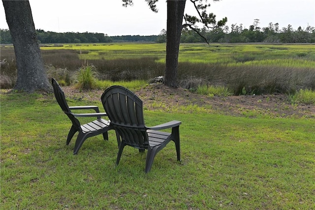 1261 Otter Slide Loop, Townsend, GA 31331 - view of grassy yard