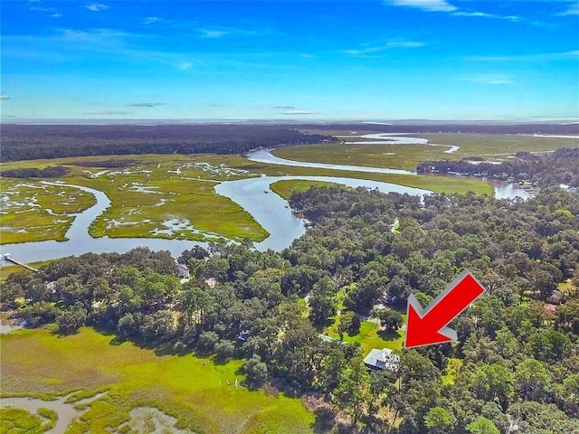 1261 Otter Slide Loop, Townsend, GA 31331 - aerial view of a large body of water and a heavily wooded area