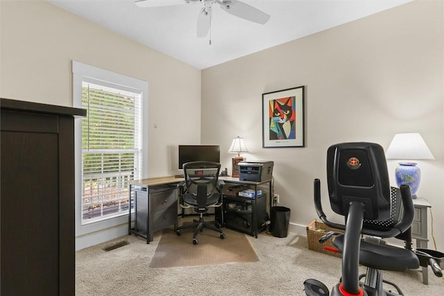 office area featuring carpet flooring and a wealth of natural light