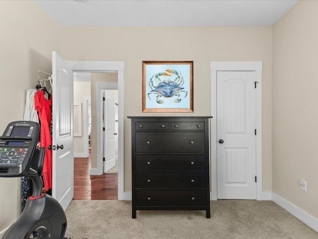 interior space featuring baseboards and carpet flooring