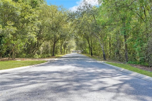 view of road featuring curbs and a forest view