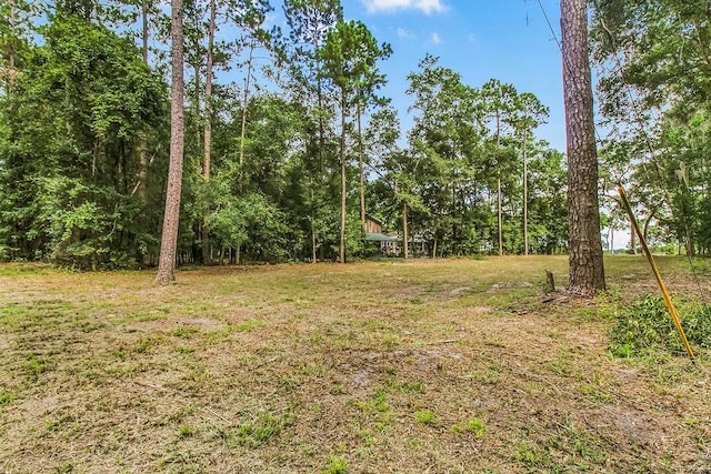 151 Julienton Dr, Townsend, GA 31331 - photo 6