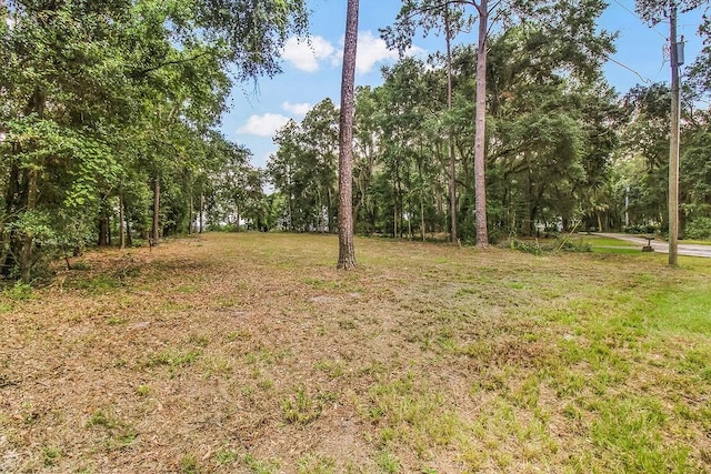 151 Julienton Dr, Townsend, GA 31331 - photo 5
