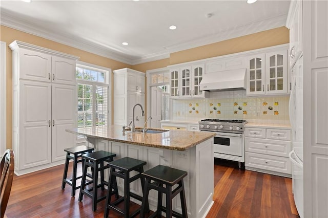 kitchen with premium range hood, white cabinets, sink, an island with sink, and stainless steel range