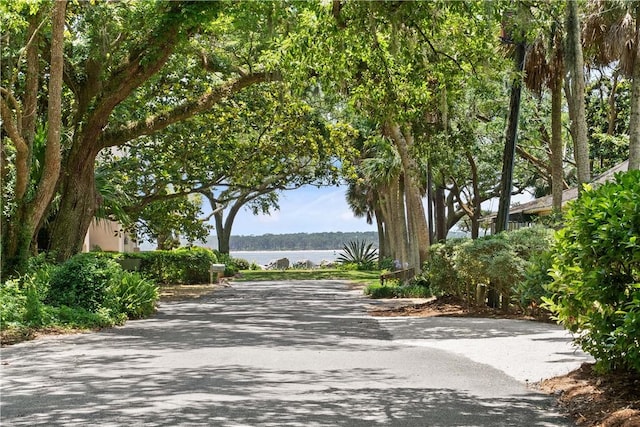 view of home's community featuring a water view