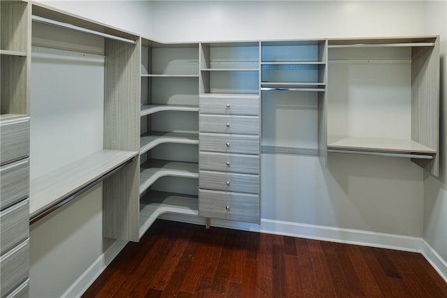spacious closet with dark wood finished floors