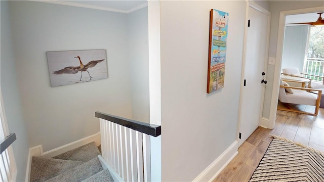 hall with crown molding, light wood-style flooring, and baseboards