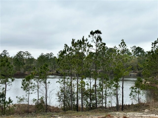 254 Satilla Sands Dr, Waynesville, GA 31566 - photo 2