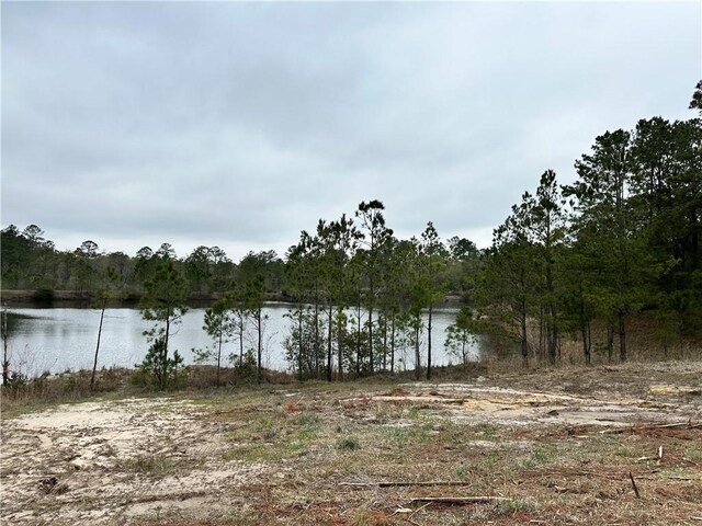 254 Satilla Sands Dr, Waynesville, GA 31566 - photo 4