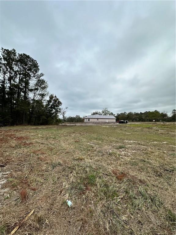 254 Satilla Sands Dr, Waynesville, GA 31566 - photo 15
