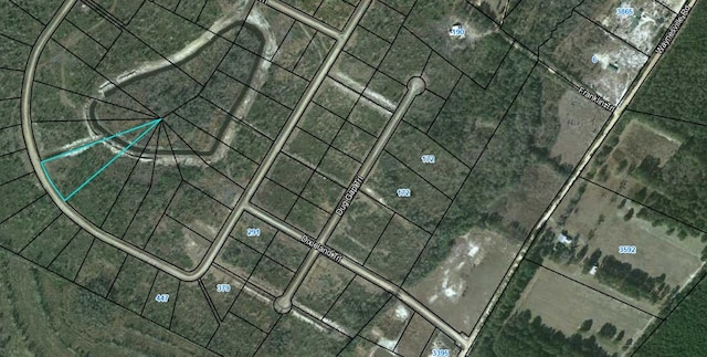 LOT90 Picketts Mill Trl, Waynesville, GA 31566