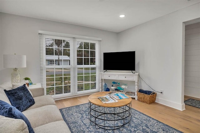 living room featuring wood-type flooring