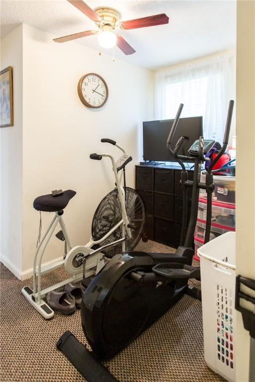 2896 S Lakeview Dr, Waycross, GA 31503 - workout area featuring a ceiling fan, carpet floors, and baseboards
