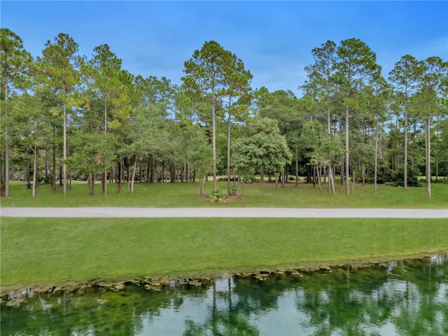 Listing photo 3 for LOT129 Sapelo Park NE, Townsend GA 31331